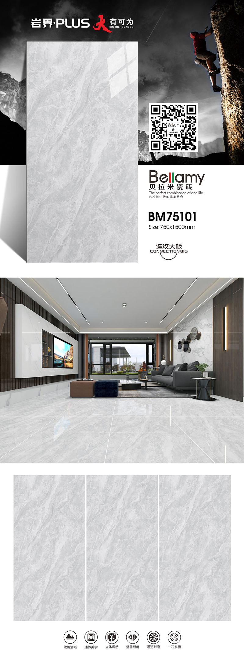 BM75101.jpg